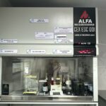 WhatsApp Image 2025-09-29 at 9.35.16 AM